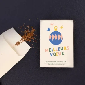 4376981-47dfea607d121f_jpg.jpgv1698483763 Sachet de graines de Gypsophile - Meilleurs Voeux