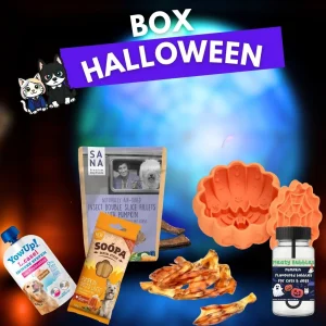 Box_10.jpgv1760111295 🎃 Box Halloween pour chien – Édition Limitée Loki & Luna