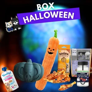 Box_9_bc774d70-b40d-4a08-880a-502da0676d6d.jpgv1760110986 🎃 Box Halloween Ultime pour chien – Édition limitée Loki & Luna