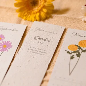 Calendrier-12-marque-pages-ensemences-2025_STATIONERY_2571_16.jpeg Calendriers marque-page