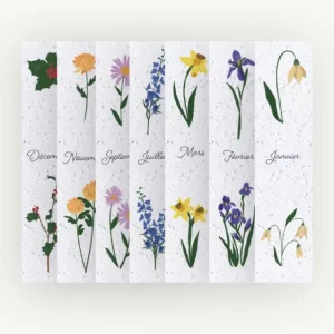 Calendrier-12-marque-pages-ensemences-2026-fleur-de-naissance_STATIONERY_4224_16.png Calendrier marque-pages – Fleurs de naissance