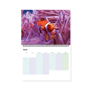 Calendrier-VIE-SOUS-MARINE_STATIONERY_4227_16.jpeg Calendrier photos – Vie sous-marine