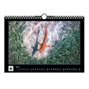 Calendrier-WWF-2025_STATIONERY_2816_16-2.jpeg Calendrier WWF