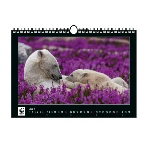 Calendrier-WWF-2026_STATIONERY_6666_16.jpeg Calendrier WWF 2026