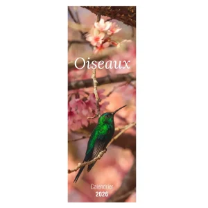 Calendrier-long-oiseaux-2026_STATIONERY_4229_16.jpeg Calendrier long Oiseaux 2026