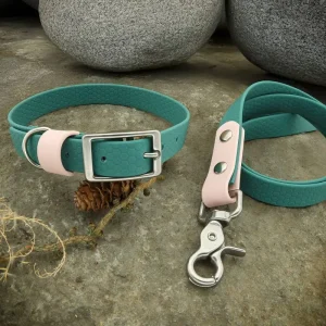 Collier-Personnalise-en-Hexa-DOG-_-CAT-ETOILES-153304483.jpgv1749579161 Collier Personnalisé en Hexa