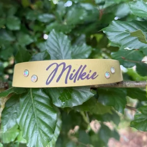 Collier-Personnalise-en-TPU-DOG-_-CAT-ETOILES-163881129.jpgv1753702300 Collier Personnalisé en TPU