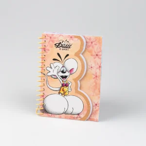 DID10017A.webp Carnet forme A6 Diddl Orange