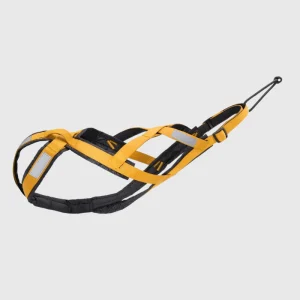 Harnais course chien