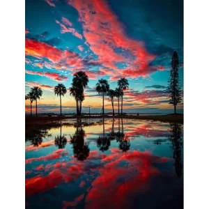 broderie-diamant-palmiers-soleil-couchant-806980.jpgv1700762628 Broderie Diamant - Palmiers Soleil Couchant