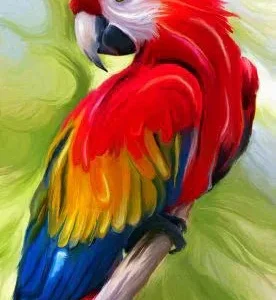 Broderie Diamant - Perroquet Tropical