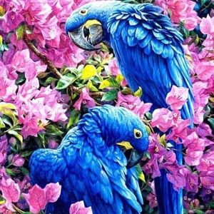 Broderie Diamant - Perroquets Bleus
