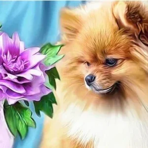 Broderie Diamant - Petit Chien Touffu