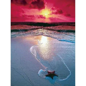 Broderie Diamant - Sunset Étoile de Mer