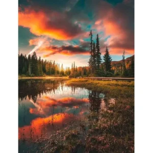 Broderie Diamant - Sunset sous les Sapins