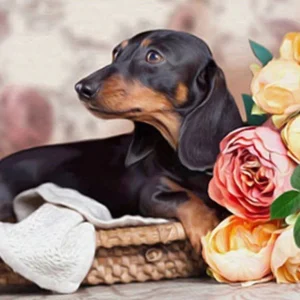 Broderie Diamant - Teckel dans son Panier