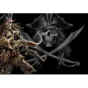 Drapeau Pirate stylise